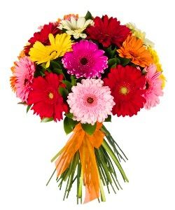 Envio y venta de flores ,rosas, plantas,arreglos florales ,regalos y desayunos a domicilio con delivery gratis en la Ciudad Autonoma de Buenos Aires y con costo de env�o en localidades del Gran Buenos Aires asi como delivery de flores y plantas a trav�s de florerias asociadas en todas las provincias de la Argentina, Buenos Aires, la Pampa, Tucuman, La Rioja, R�o Negro, Entre Rios, Corrientes, Misiones, Neuquen, Chubut, Tierra del Fuego, Santa Cruz, San Luis, Mendoza, Cordoba, Jujuy, Formosa, Santiago del Estero, Salta, Chaco, Catamarca ,San Juan, y ademas realizamos el delivery de flores ,coronas,palmas , plantas y regalos a todas las ciudades de Argentina, Mar del Plata, C�rdoba, Buenos Aires, con cargo en Santa Rosa, La Plata, Bella Vista, Neuquen, Pilar, Paran�, Posadas, Resistencia, Cipolleti y mas de 300 ciudades y localidades en todo el territorio de nuestro pa�s, asi como tambien tenemos la posibilidad de enviar flores a casi todo el mundo en cuestion de horas